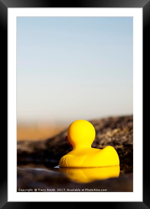 Rubber Ducky went for a swim Framed Mounted Print by Tracy Smith