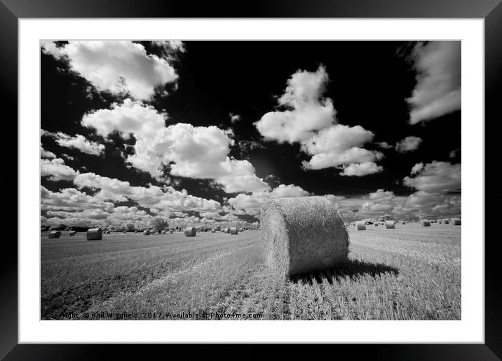 Straw Bale - Barleylands Framed Mounted Print by Phil Wingfield