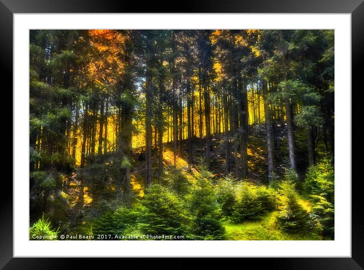 slope in the forest Framed Mounted Print by Paul Boazu