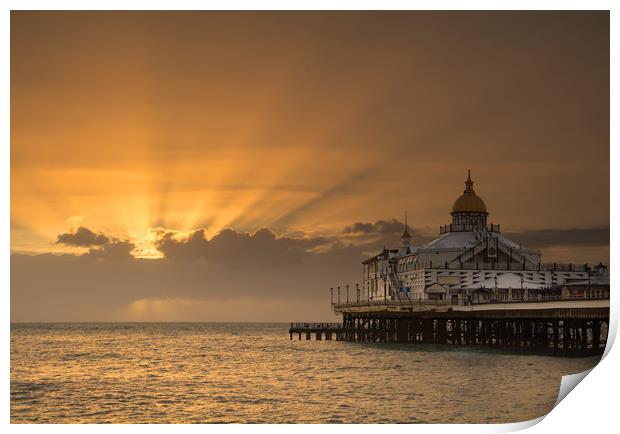 Sunrise over Eastbourne Pier Print by Dave Collins