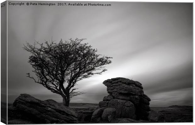 Holwell Tor and Lone tree on Dartmoor Canvas Print by Pete Hemington