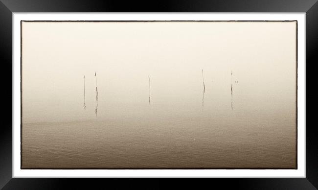 Buoy Markers, Whitstable Harbour Framed Print by Brian Sharland