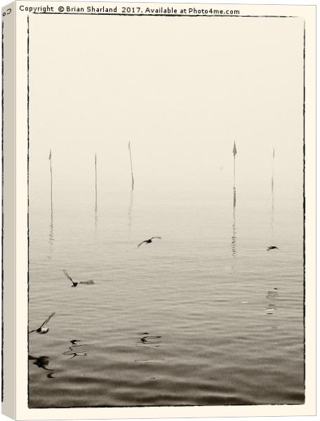 Sandpipers And Buoy Markers, Whitstable Canvas Print by Brian Sharland