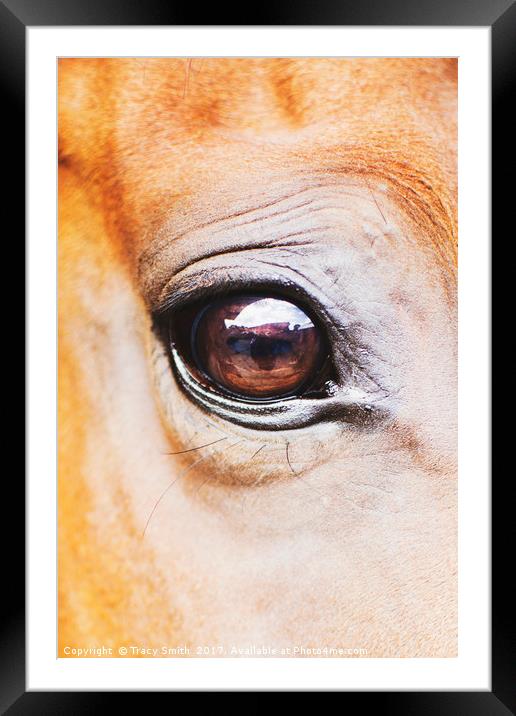 Horses eye Framed Mounted Print by Tracy Smith