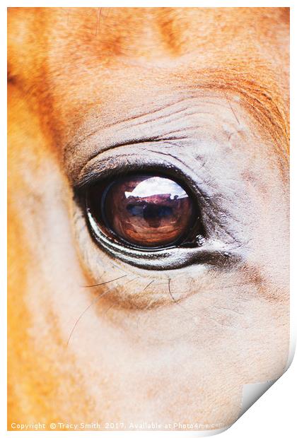 Horses eye Print by Tracy Smith