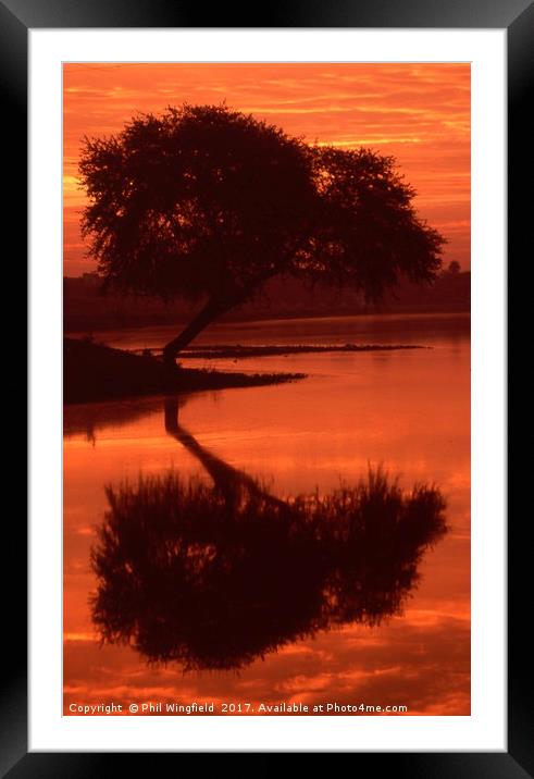 Sunset in Ujjain Framed Mounted Print by Phil Wingfield