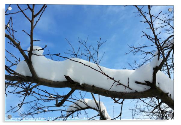 Snow on branches Acrylic by Marinela Feier