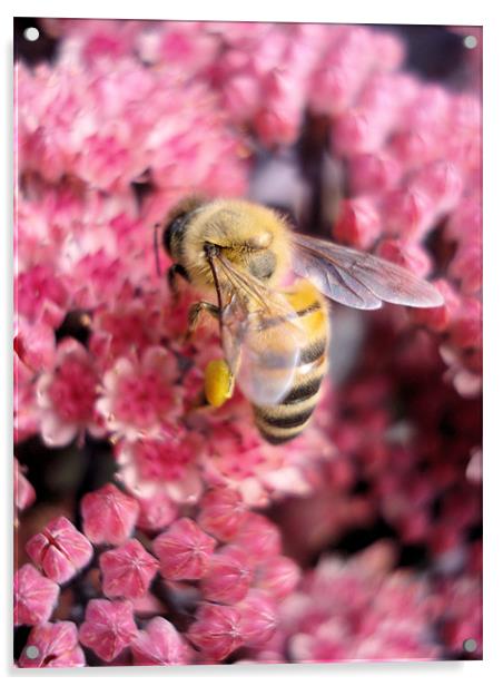 Buzzy Bee Acrylic by Nicola Hawkes