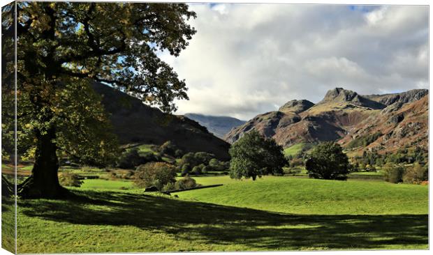 The Langdale Pikes from Chapel Stile Canvas Print by Linda Lyon