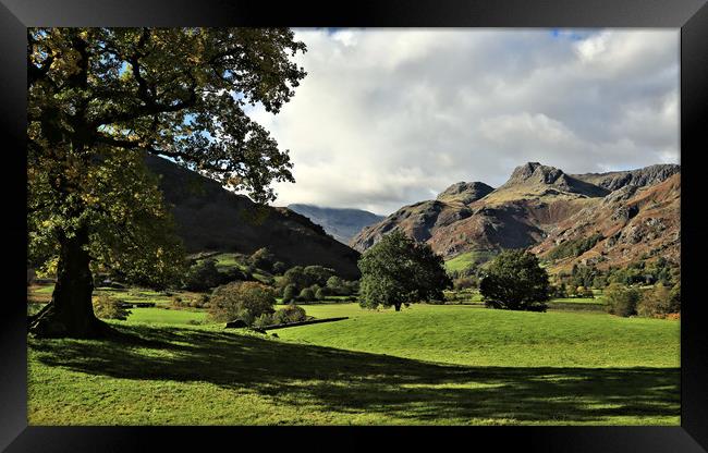 The Langdale Pikes from Chapel Stile Framed Print by Linda Lyon