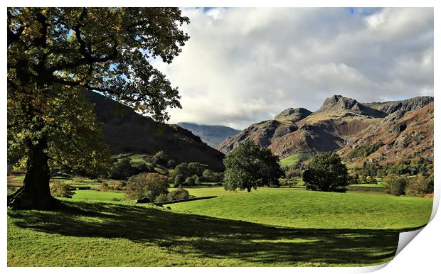 The Langdale Pikes from Chapel Stile Print by Linda Lyon