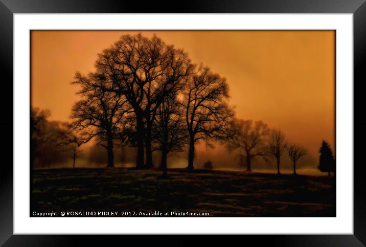 "EVENING LIGHT IN THE MISTY PARK" Framed Mounted Print by ROS RIDLEY