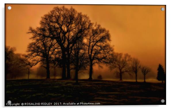 "EVENING LIGHT IN THE MISTY PARK" Acrylic by ROS RIDLEY