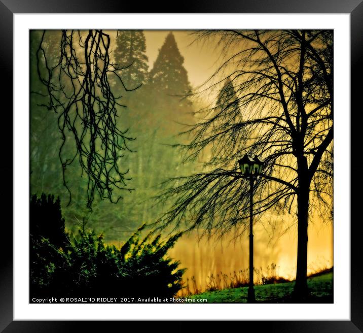 "MISTY EVENING LIGHT BY THE LAKE" Framed Mounted Print by ROS RIDLEY