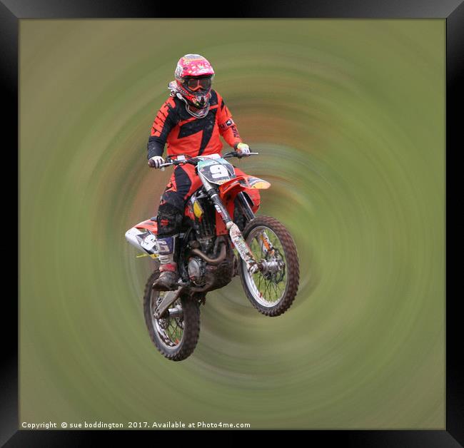 Motor Cross Rider in flight Framed Print by sue boddington