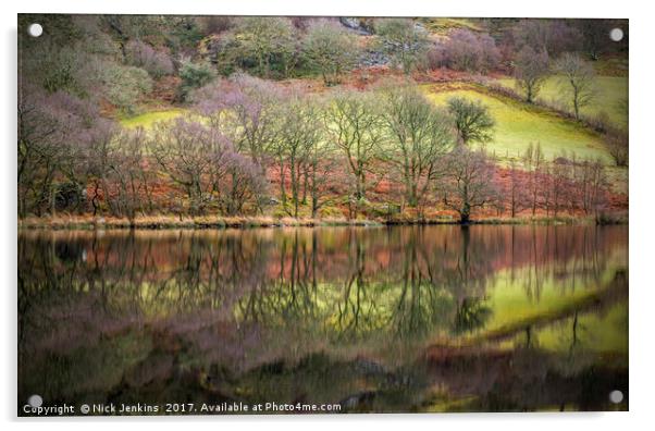 Reflections Caban Coch Reservoir Claerwen Valley Acrylic by Nick Jenkins