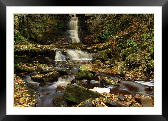 AN AUTUMN LOOK Framed Mounted Print by andrew saxton