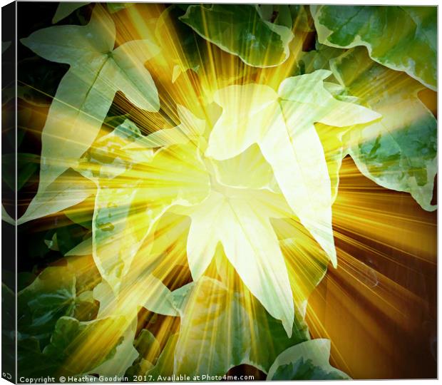 Let the Light Shine Through. Canvas Print by Heather Goodwin