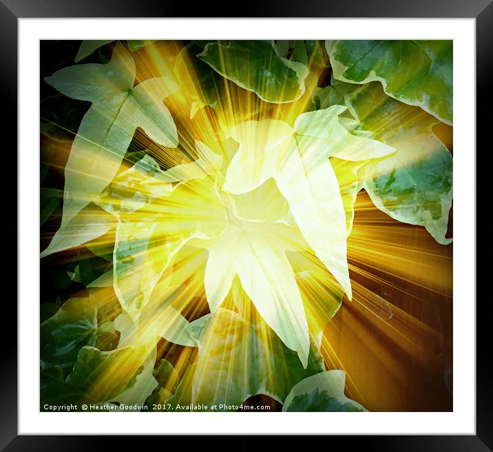 Let the Light Shine Through. Framed Mounted Print by Heather Goodwin
