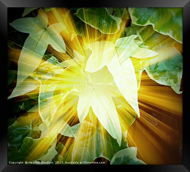 Let the Light Shine Through. Framed Print by Heather Goodwin