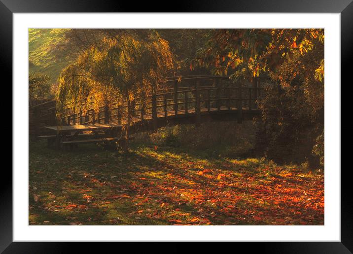 Afternoon Sunlight Framed Mounted Print by Dianne 