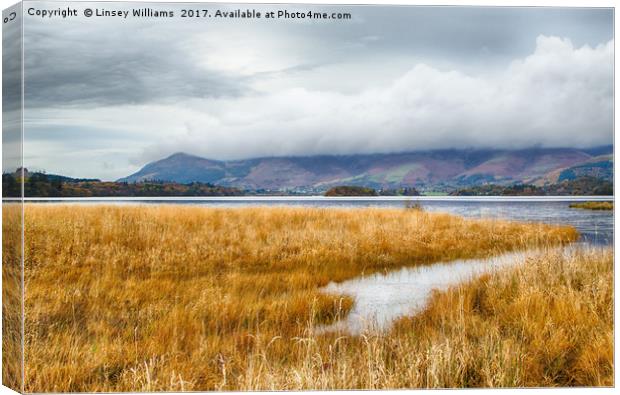 Skiddaw Under Cloud Canvas Print by Linsey Williams