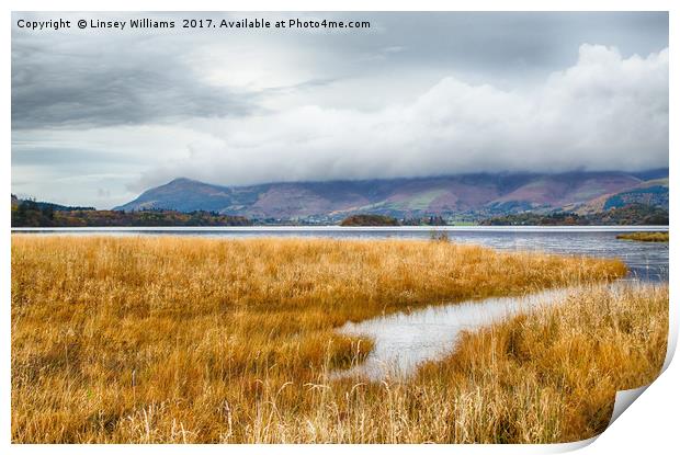 Skiddaw Under Cloud Print by Linsey Williams