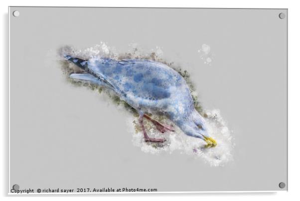 Water Colour Gull Acrylic by richard sayer