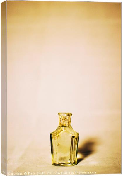Small glass bottle Canvas Print by Tracy Smith