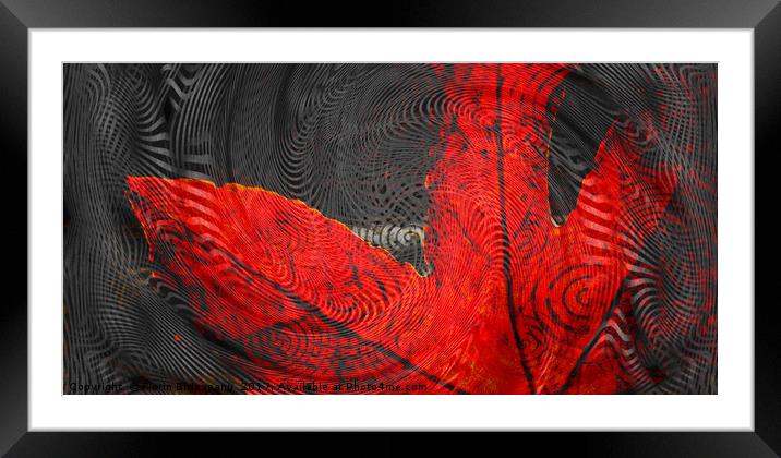 Had Its Day Pattern  Framed Mounted Print by Florin Birjoveanu