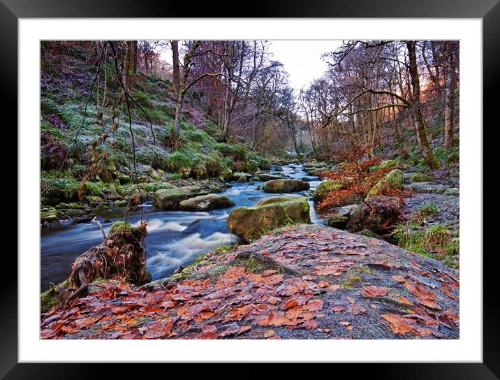 Frosted Autumn Leaves Framed Mounted Print by David McCulloch