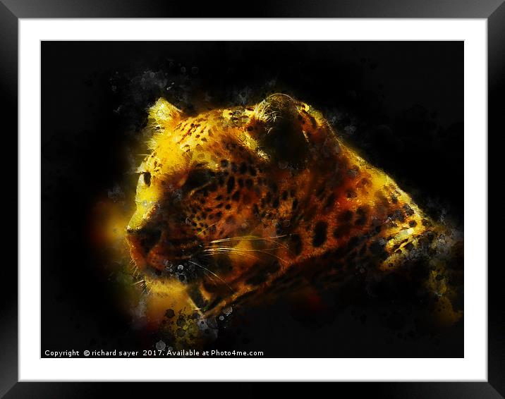 Jaguar  Framed Mounted Print by richard sayer