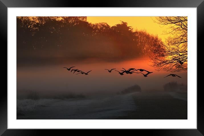 We Fly at Dawn Framed Mounted Print by Bett Atherton