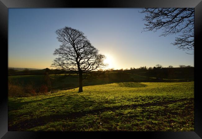 Birtle's Countryside Dawn Framed Print by Derrick Fox Lomax