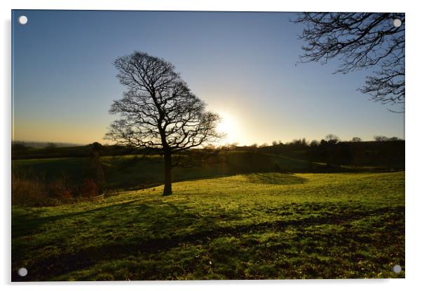 Birtle's Countryside Dawn Acrylic by Derrick Fox Lomax