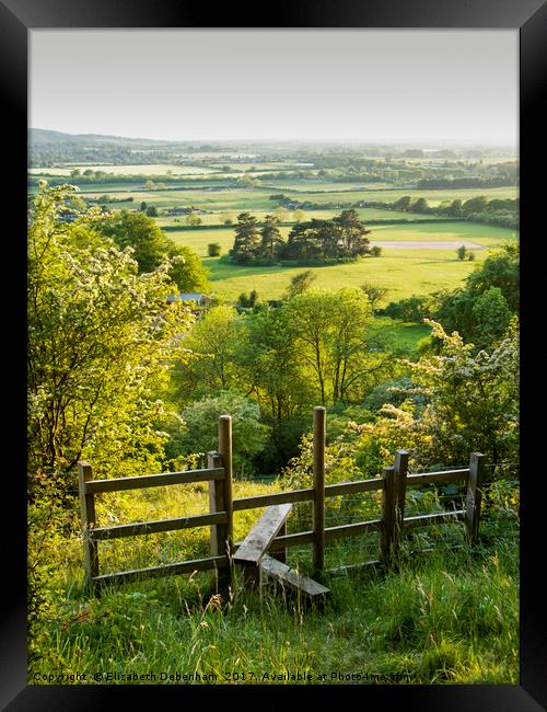 Aldbury Nowers, Tring; The Ridgeway walk Framed Print by Elizabeth Debenham