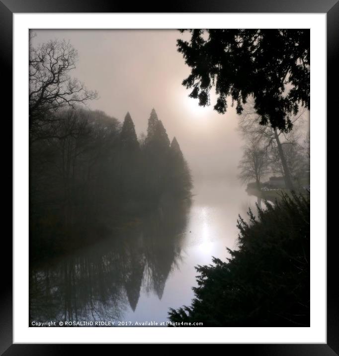 "EVENING SUN BREAKING THROUGH THE FOG" Framed Mounted Print by ROS RIDLEY