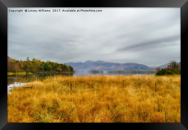 Derwent Valley and Skiddaw Autumn Framed Print by Linsey Williams