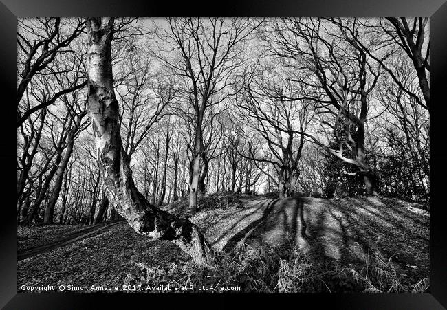 Monochrome Trees Framed Print by Simon Annable