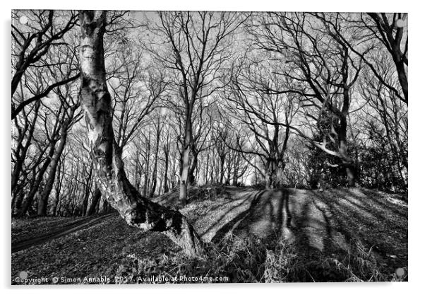 Monochrome Trees Acrylic by Simon Annable