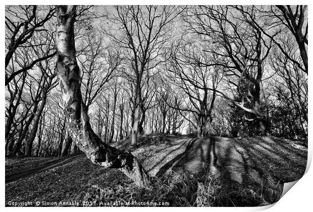 Monochrome Trees Print by Simon Annable
