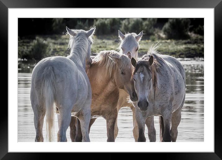 Family Time cropped Framed Mounted Print by Belinda Greb