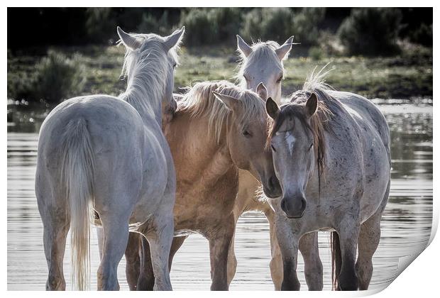 Family Time cropped Print by Belinda Greb