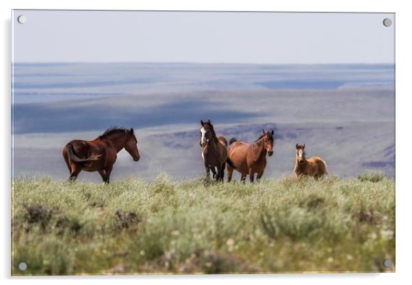 On the Mountain Acrylic by Belinda Greb