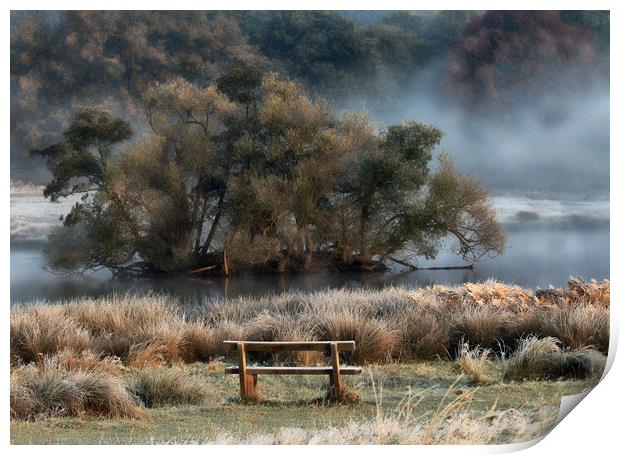 A Touch of Frost ...........and mist Print by Bett Atherton