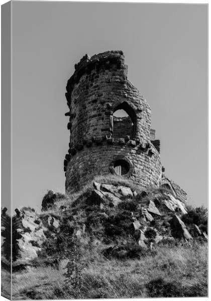 Ruined folly Canvas Print by Carl Pepper