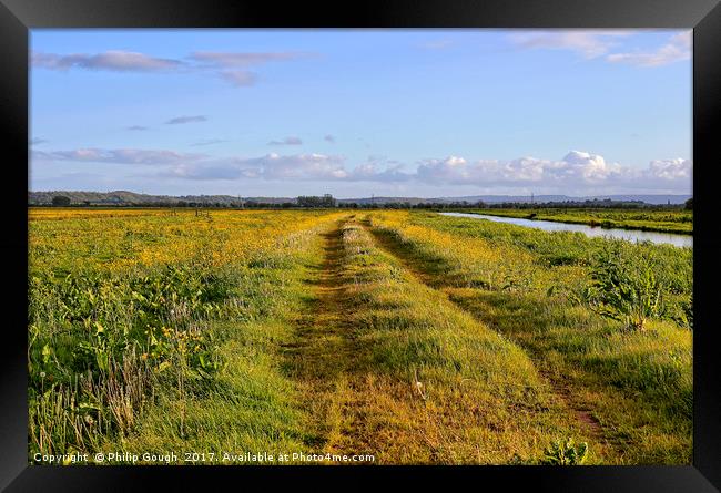 By The Side of the River Parrot Framed Print by Philip Gough