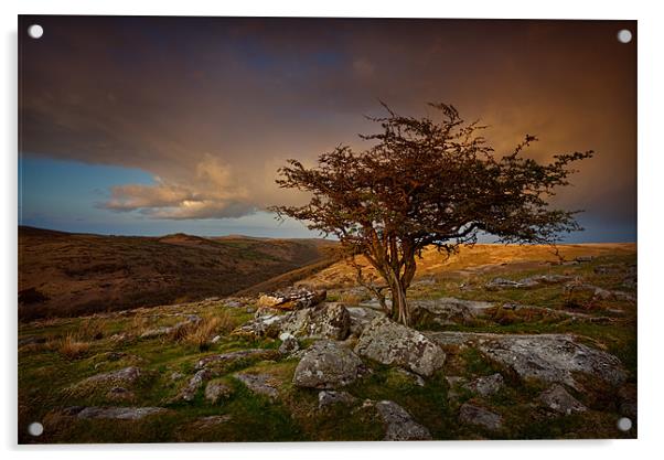 Dartmoor Sunset 3 Acrylic by Ashley Chaplin