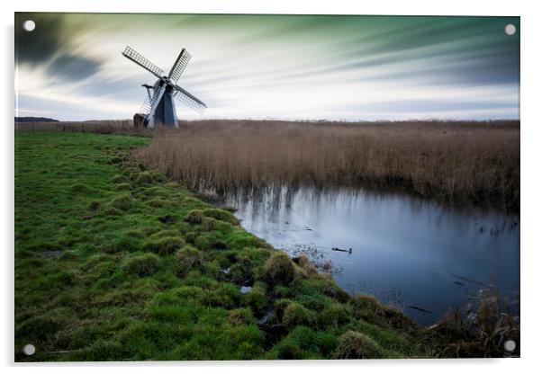 Herringfleet Windmill Acrylic by Mark Hawkes