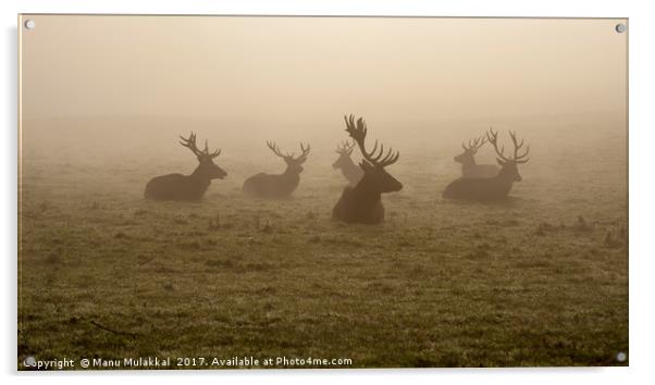 Deers on a foggy morning Acrylic by Manu Mulakkal